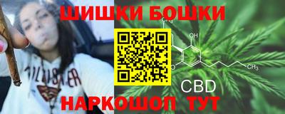 спайс Дубна
