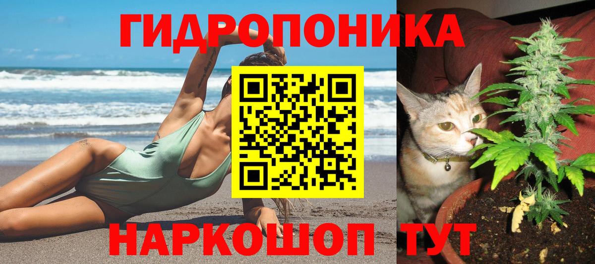 Лесной  Бошки Шишки тримм  Вход с VPN  Марихуана Amnesia  МАРИХУАНА ГИДРОПОН 